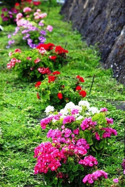 Etna Hut Bed & Breakfast Nicolosi Luaran gambar