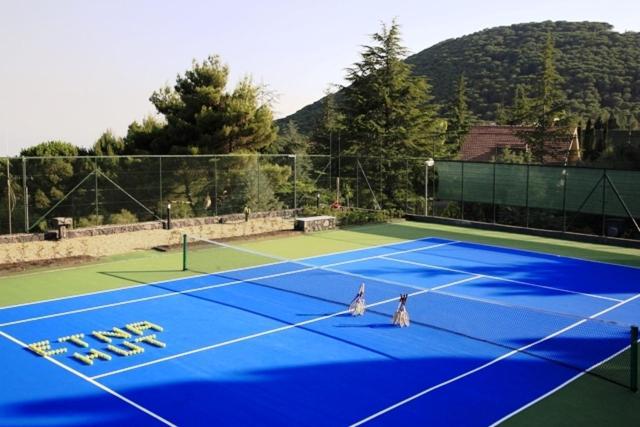 Etna Hut Bed & Breakfast Nicolosi Luaran gambar