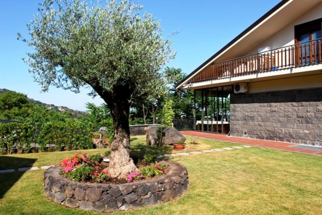 Etna Hut Bed & Breakfast Nicolosi Luaran gambar